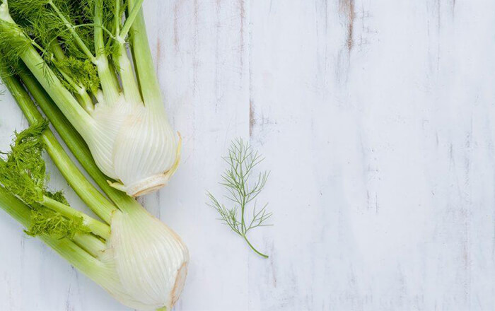 Fennel